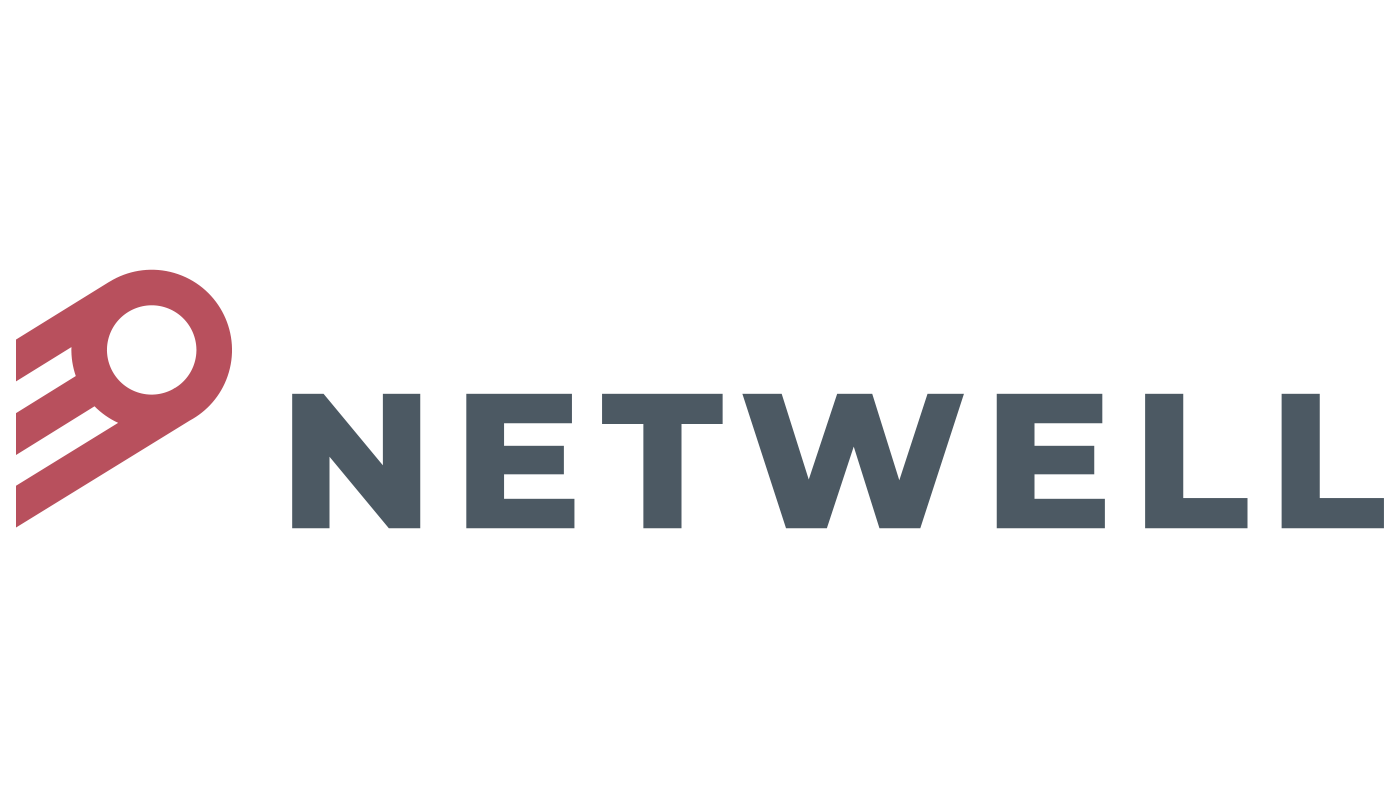 Программный комплекс SafeInspect компании НТБ в продуктовом портфеле Netwell